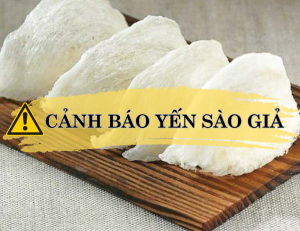 Cảnh báo yến sào giả: Làm sao để nhận diện?